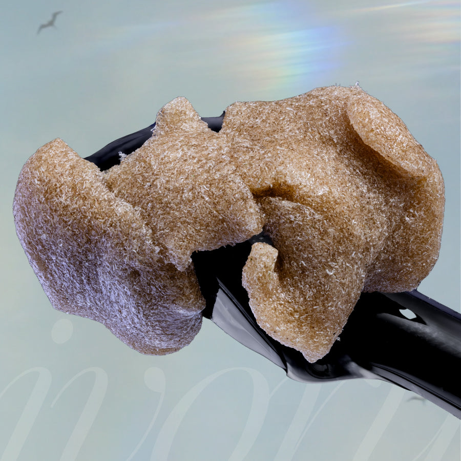 Bubble Hash