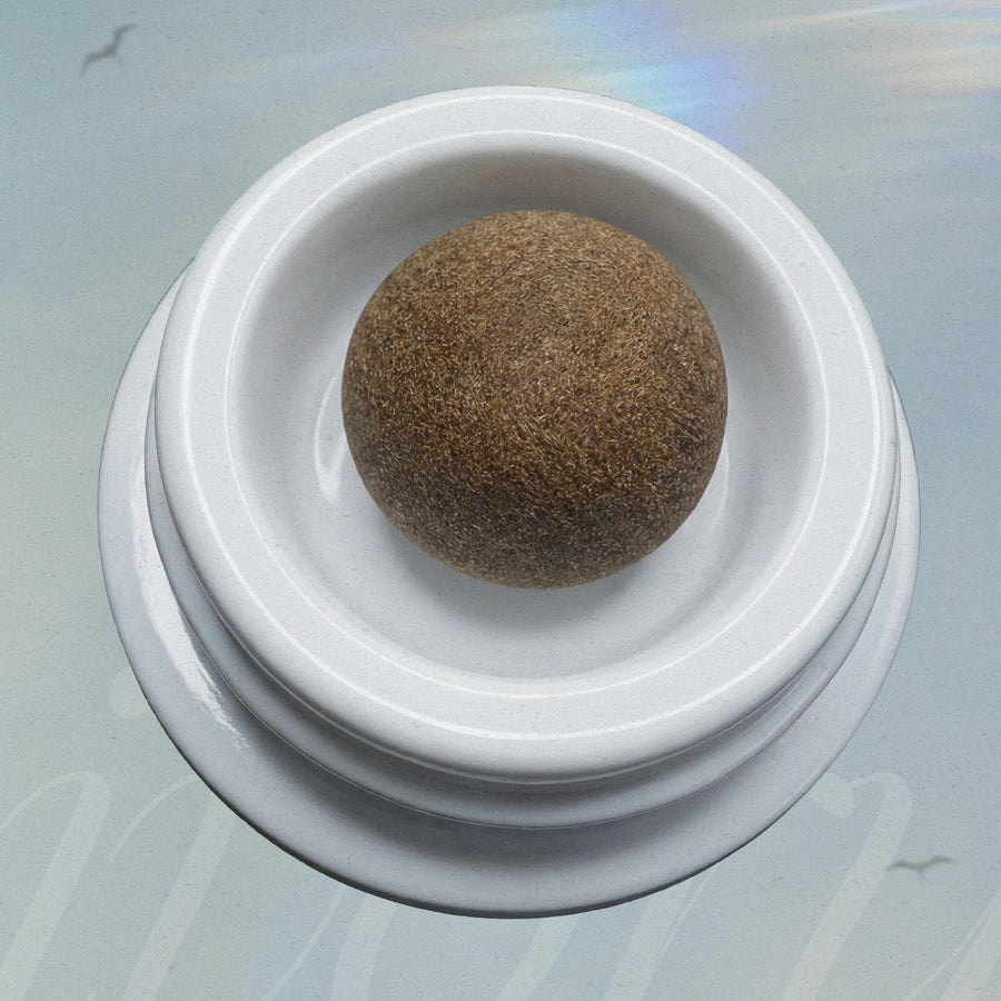 Temple Ball