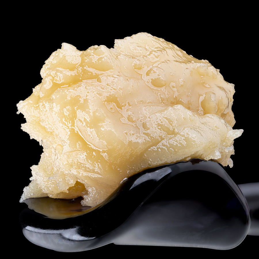 Cold Cure LIve Rosin